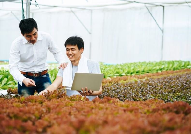Pemanfaatan Data Spasial BMKG dan Kementan untuk Memetakan Petani Rentan Gagal Panen Penerima Asuransi Usaha Tani