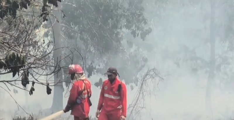 Kalimantan Wildfire
